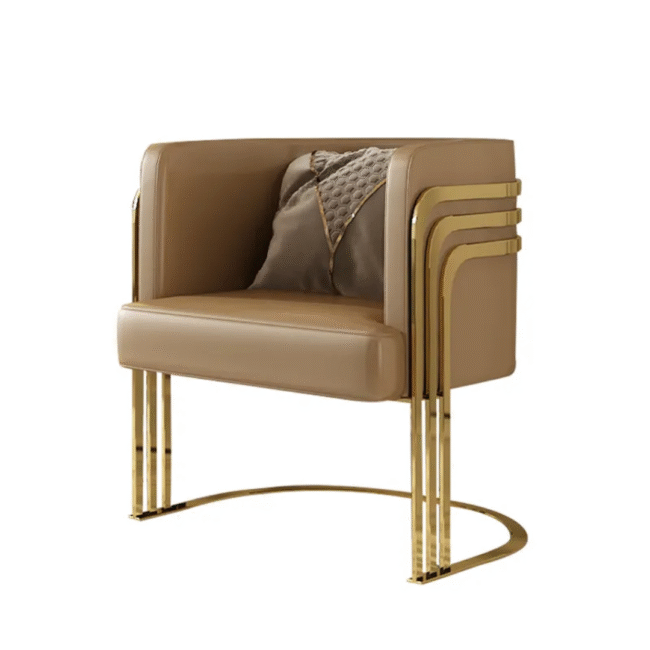 Bayon Modern Leather Armchair living room and hallway NFSTEEL