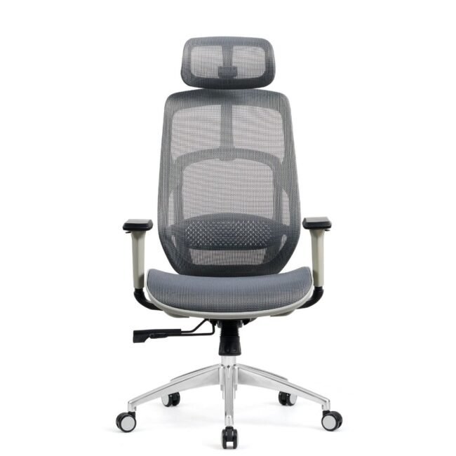 Ergonomic High Back Mesh Office Chair" or "Adjustable Mesh Desk Chair with Headrest