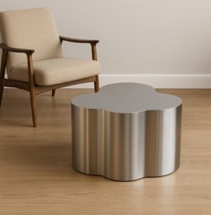 Modern Stainless Steel Coffee Table with Organic Shape